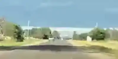 Por los pozos de la Ruta 303, los autos ya manejan de contramano: el reclamo que nadie escucha