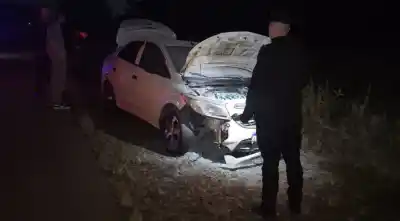 Una familia correntina viajaba de madrugada por la ruta 14 y se topó con algo en la calzada