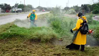 La Municipalidad de la Capital intensifica el desmalezamiento tras las lluvias para combatir insectos y mejorar la visibilidad