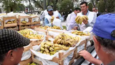 Formosa: regalan 3.000 kilos de banana en la ruta y nadie explica por qué les sobra tanta fruta
