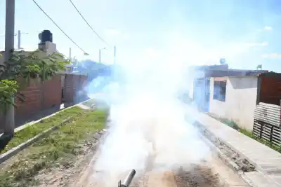 El mosquito no da tregua en la capital: los barrios donde esta semana se podrá descacharrear