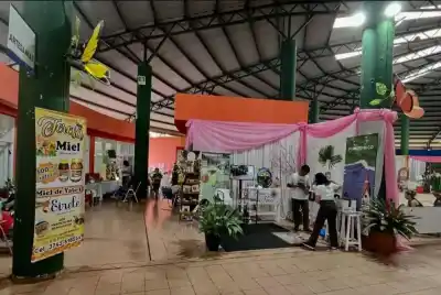 Caraguatay abre tres noches de fiesta y el domingo cierra con malambo y rock