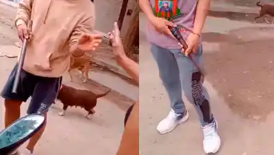 La Banda: dos jóvenes con tumberas sembraron el pánico en pleno día y hay una familia golpeada