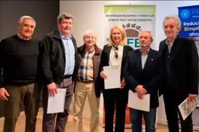 Entre Ríos quiere que las casas se construyan con madera: qué cambia en las viviendas del IAPV