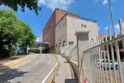 Un perro lo tiró al piso y lo mordió en la cara: el nene de 5 años terminó internado