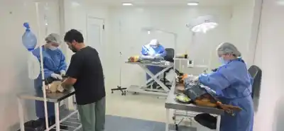 Bariloche sumó tres mesas de cirugía en su quirófano municipal: qué cambia para las castraciones