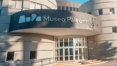 San Juan ya tiene fecha para abrir su museo de dinosaurios: qué se verá adentro