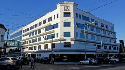 Llevaba a su hijo al jardín con el bebé en brazos: lo que cayó del árbol terminó en tragedia