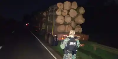 El control en la ruta 12 que terminó con dos hombres demorados y 70 rollos de madera en un camión