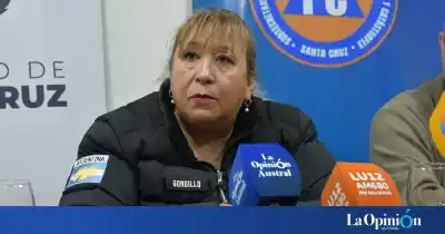 Dos nenes de 10 y 12 años desaparecieron en el río: el operativo que no se detiene