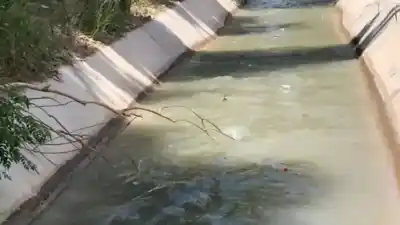 El agua que toman cientos de familias en Perico tendría un origen impensado: lo que hallaron en el canal