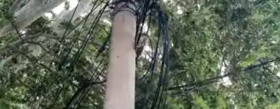 Vecinos de San Juan caminan entre cables colgando y nadie se hace cargo