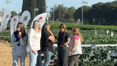 La verdura que se encarece en la verdulería y la que regalan: por qué se dio vuelta la taba