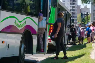 Paraná cambia los colectivos en noviembre: la línea que llega donde nunca llegó