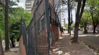 Una palta le quitó la vida a un bebé de 12 días: la Justicia investiga por qué nadie podó esos árboles