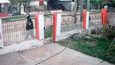 Le robó los pájaros a un jubilado, quiso huir y un vecino lo frenó en plena calle