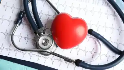Vitamina K: el nutriente clave para la coagulación y la salud cerebral que muchos mayores no consumen lo suficiente