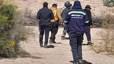 Robaron un burro en Aimogasta y lo faenaron: dos detenidos y un escondite bajo la cama