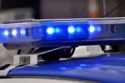 Encontró las vísceras y el cuero de su vaquillona a 12 km de su casa: sospecha de un vecino