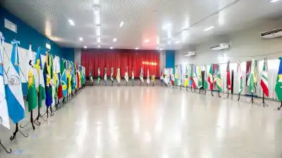 San Martín tendrá su propia bandera: el detalle de los 72 diseños que ya analiza el jurado