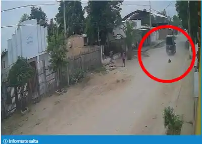 Un patrullero atropelló a un perro querido en Embarcación y siguió de largo: el video que indigna