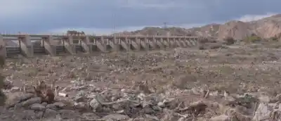 San Juan taló 300 metros de árboles junto al dique: el motivo que preocupa a Rivadavia