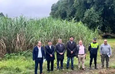 Recuperaron terrenos públicos usurpados en un operativo conjunto en la provincia