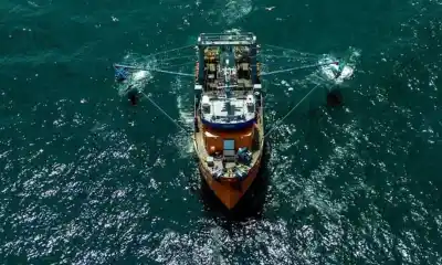 La flota langostinera cambia de rumbo: dónde buscarán ahora tras el primer revés de la temporada