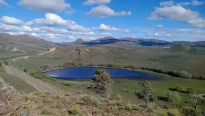 Volvió el agua a Los Juncos, pero las ovejas ya se habían comido lo que atraía a las aves