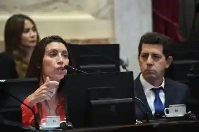 Cristina mueve fichas en el Senado y La Rioja podría volver a sentarse en la mesa de los jueces