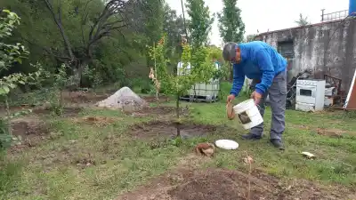 El plan que frena a la mosca de los frutos llegó a seis pueblos: los números que dejó