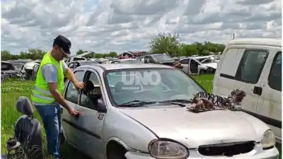 Entraron a inspeccionar un desarmadero de Pujato y dos autos no pasaron la revisión
