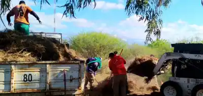 Recorrieron 10 barrios de la Capital: cuántos cacharros se retiraron en la lucha contra el dengue