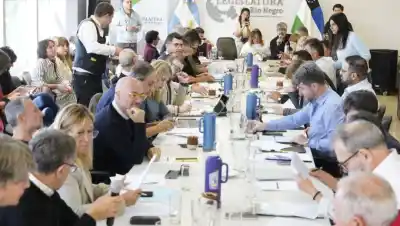 Tobilleras electrónicas: el horario que quieren imponer y las dudas que frenan el debate