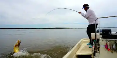 Cerró la pesca en el Paraná y el Iguazú: los días y las especies que quedan fuera de la excepción
