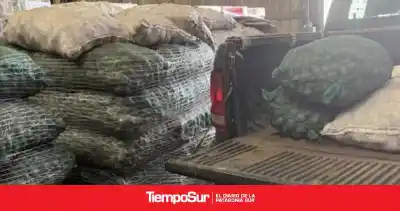 Río Gallegos: la capacitación gratuita que se lleva a casa algo más que técnicas de siembra