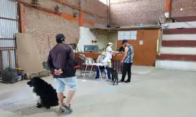 Trelew: los puestos con gazebo rojo que reparten pastillas gratis y nadie sabe dónde estarán