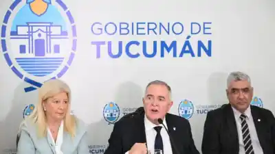 Jaldo apuntó contra la oposición por el artículo 90: "Se quiere sacar de la cancha a un candidato"