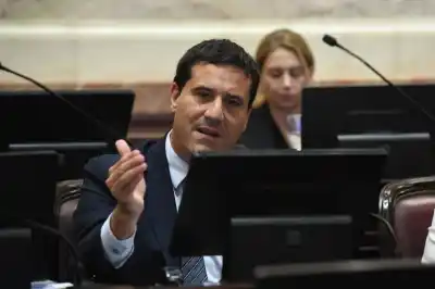 Abad confirmó que votará en contra de la eliminación de las PASO pero propone reformarlas