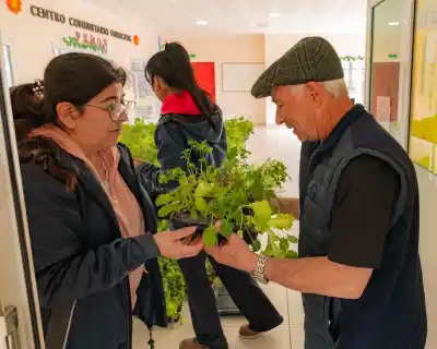 Río Grande: 3.000 vecinos se anotaron en un día y ya no quedan plantines