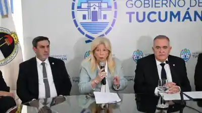 La fiscal de Estado salió a defender el artículo 90 y anticipó quién manejará la causa