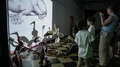 Más de 150 museos abren de noche en Entre Ríos: el recorrido que arranca en pleno centro de Paraná