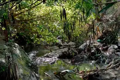 Paraná está construida sobre 16 arroyos: el documental que revela qué pasó con el agua