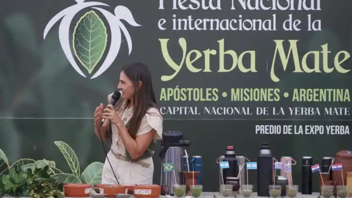 Apóstoles: la cata a ciegas que pone a prueba tu paladar yerbatero