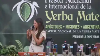 Apóstoles: la cata a ciegas que pone a prueba tu paladar yerbatero