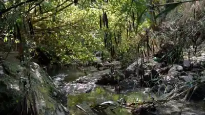 Paraná: el corto que muestra lo que un grupo de vecinos hace desde 2011 por los arroyos