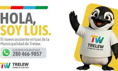 Trelew ya tiene un pingüino que responde por WhatsApp: qué podés resolverle