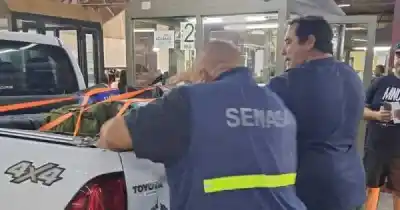 Viajaba en un Vento con productos sin declarar y pidió ser revisado solo por Aduana