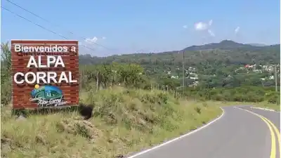 Envenenaron a cinco perros en Alpa Corral: qué encontraron en la calle y por qué el Municipio va a la Justicia