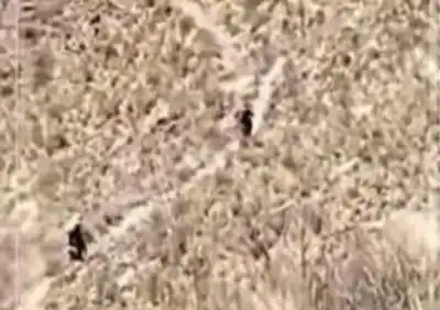 Cuatro motos de enduro entraron al camino inca y los vecinos ya saben qué van a encontrar